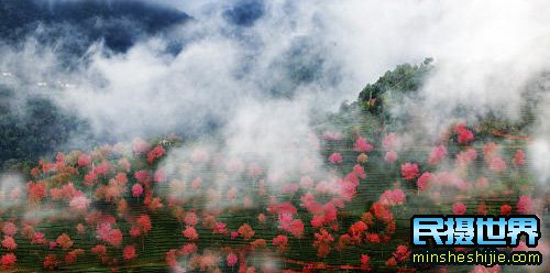 20云南无量山樱花摄影团-感受独龙江纹面女-丙中洛-松赞林寺-香格里拉梅里雪山摄影团