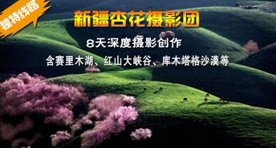 新疆杏花摄影团-4月伊犁吐尔根杏花沟摄影团-含赛里木湖-红山大峡谷-那拉提-大西沟等