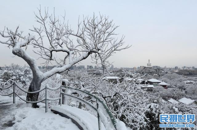 冬季来了,雪景拍摄攻略与最实用的技巧您学会了吗?
