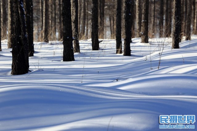 冬季来了，雪景拍摄攻略与最实用的技巧您学会了吗？