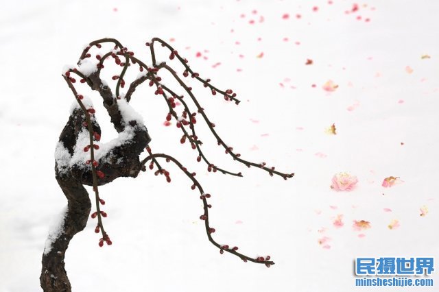 冬季来了,雪景拍摄攻略与最实用的技巧您学会了吗?