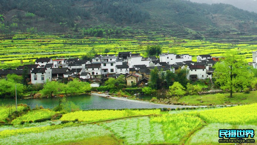 民摄世界婺源油菜花摄影团-十里画廊-土楼群-石潭-卢村-宏村-塔川-江岭-篁岭晒秋摄影团