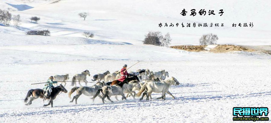 元旦坝上摄影团-坝上雪中跑马摄影团活动花絮