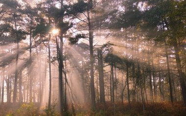 40年拍摄风景资深摄影家的10个建议