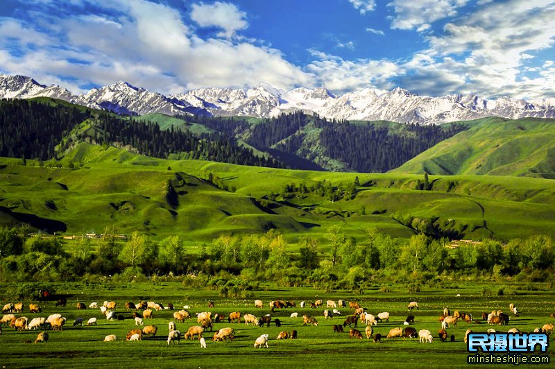 新疆伊犁摄影旅游必去的十大景点