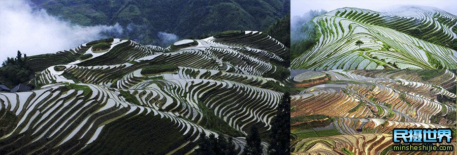 贵州桂林摄影团-桂林山水-原始村寨-短裙苗寨-肇兴侗寨-龙脊加榜梯田摄影团