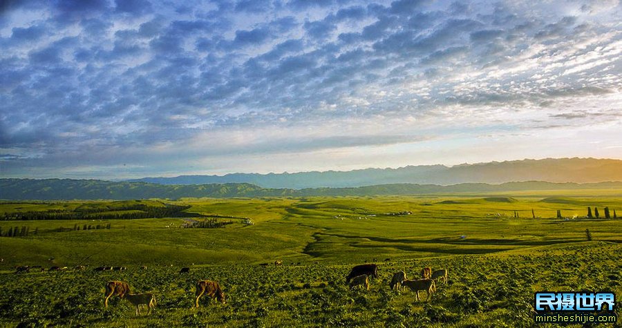 新疆伊犁摄影旅游必去的十大景点