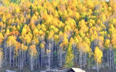 新疆秋景太美了，9月摄影人都在这里