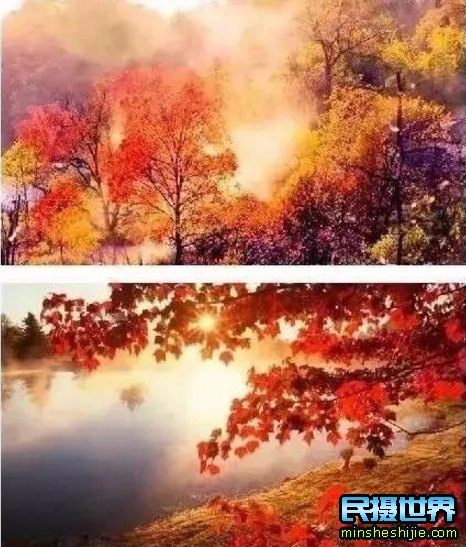 民摄世界-婺源最美十大人气赏枫地,华东第一赏枫仙境