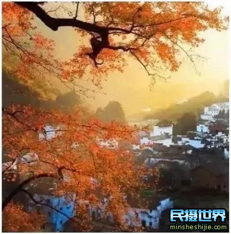 民摄世界-婺源最美十大人气赏枫地,华东第一赏枫仙境