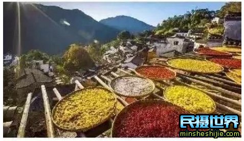 民摄世界-婺源最美十大人气赏枫地,华东第一赏枫仙境
