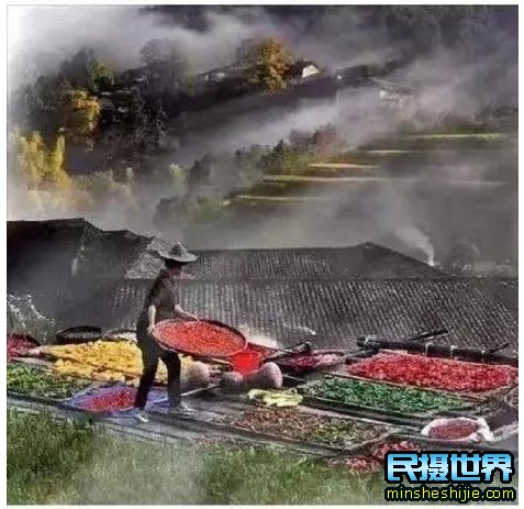 民摄世界-婺源最美十大人气赏枫地,华东第一赏枫仙境