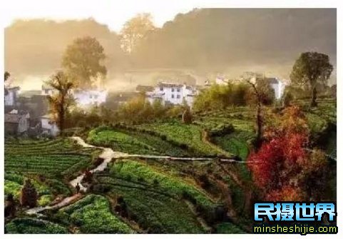 民摄世界-婺源最美十大人气赏枫地,华东第一赏枫仙境