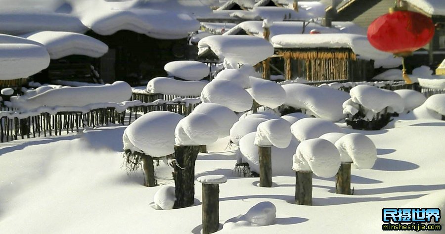 民摄世界最美雪乡雾凇岛摄影团-二浪河-东北虎园-长白山天池-魔界-雪村-哈尔滨摄影团