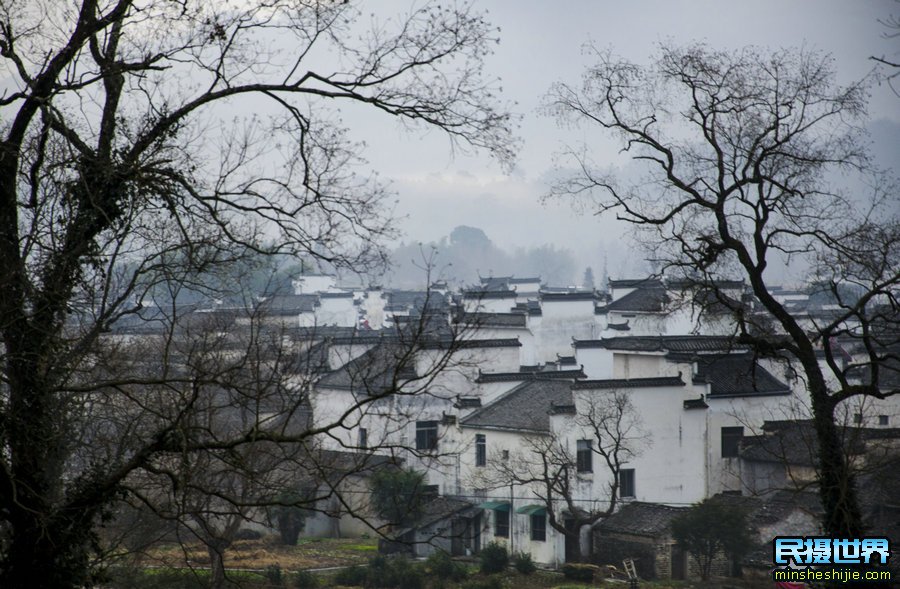 民摄世界婺源油菜花摄影团-十里画廊-土楼群-石潭-卢村-宏村-塔川-江岭-篁岭晒秋摄影团