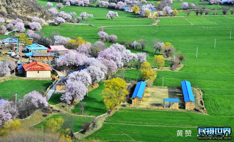 西藏电视台新闻联播直播民摄世界川藏摄影团采风活动