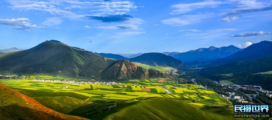 青海甘肃摄影团 油菜花