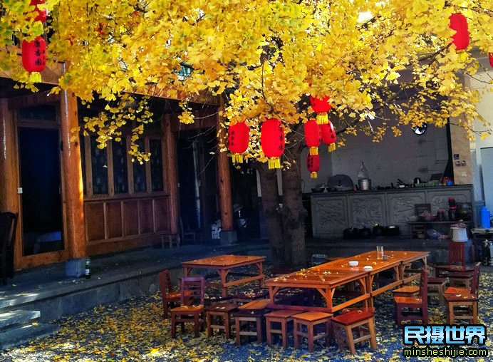 中国最美银杏与樱花摄影团--中缅边境-独龙江-丙中洛-香格里拉虎跳峡梅里雪山摄影团