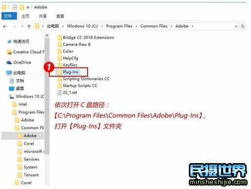 今日讲解：PS打不开RAW、CR2单反相机格式文件的解决方法，以及如何安装Camera Raw插件