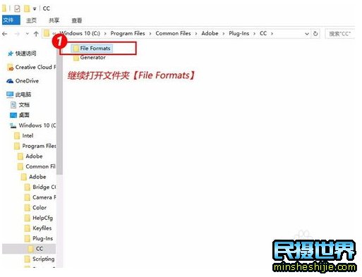 今日讲解：PS打不开RAW、CR2单反相机格式文件的解决方法，以及如何安装Camera Raw插件