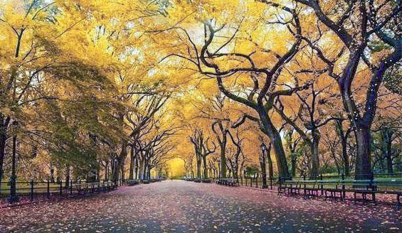 民摄世界 你能拍摄出这样美的秋色作品吗？