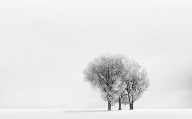 冬季雪景拍摄技巧--简单构图出大片