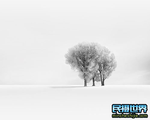 冬季雪景拍摄技巧--简单构图出大片