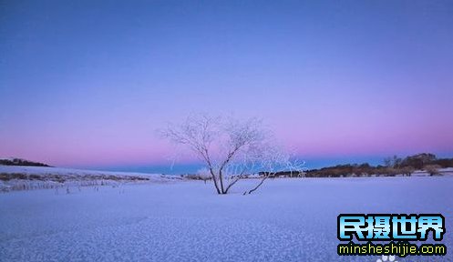 冬季雪景拍摄技巧--简单构图出大片