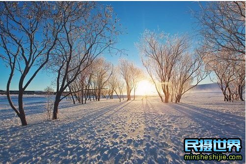 冬季雪景拍摄技巧--简单构图出大片