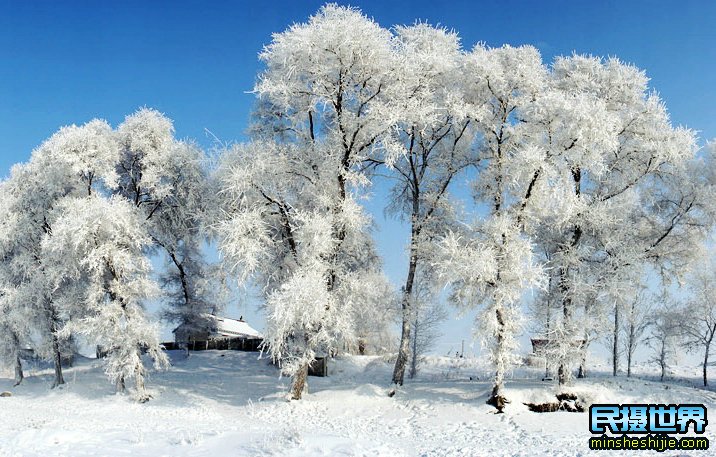 冬季游玩东北雪景全攻略-冰雕-雪乡-魔界-镜泊湖-长白山-雾凇岛摄影攻略一次搞定