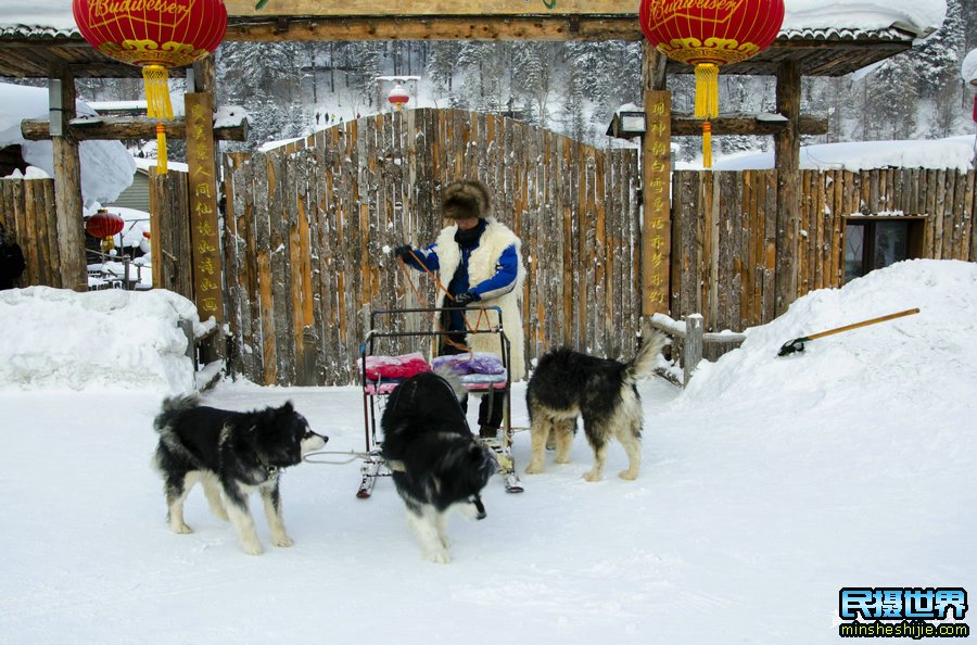 跟随民摄世界前往雪乡摄影摄影创作一路美景欣喜若狂