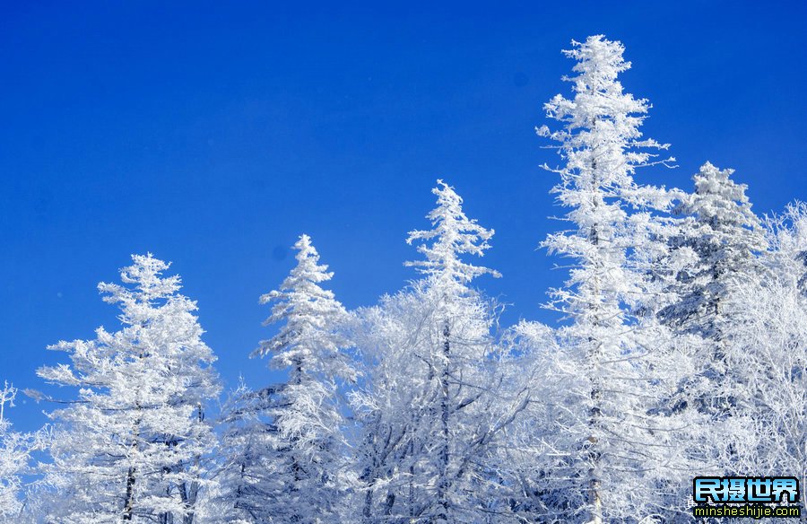 跟随民摄世界前往雪乡摄影摄影创作一路美景欣喜若狂