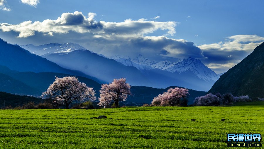 川藏波密桃花摄影团-享受川藏317与318专线之丹巴-色达-亚青寺-然乌-南迦巴瓦峰-拉萨林芝摄影团