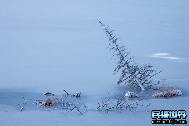 今天这篇冰雪拍摄技巧，都将成为你晶莹剔透雪景摄影的最佳帮手