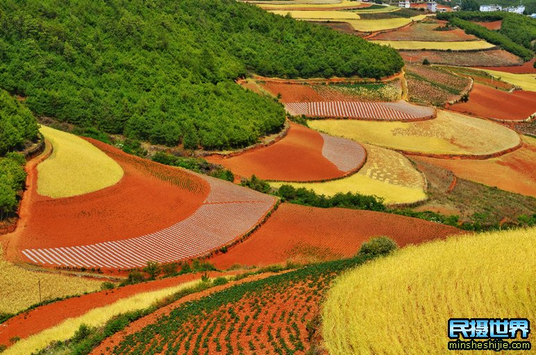 云南弥勒祭火节摄影团一次包含罗平油菜花-元阳梯田-浪巴铺土林摄影团