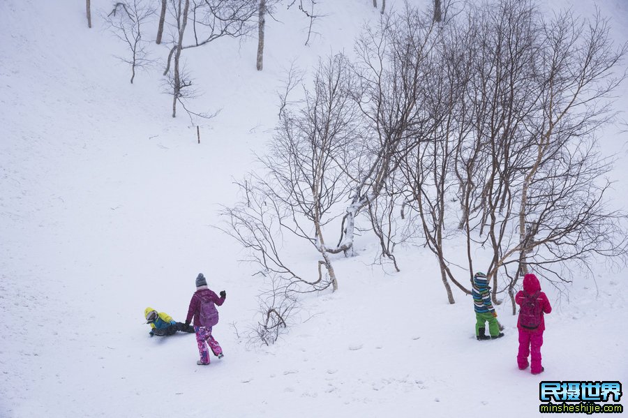 民摄世界1月东北雪乡长白山摄影团活动作品分享