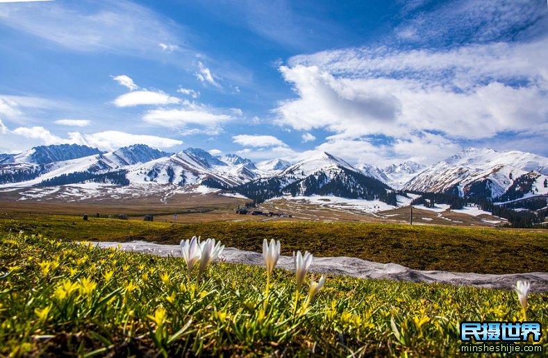 民摄世界 6月的新疆犹如仙境一般，摄影人一生必去的地方