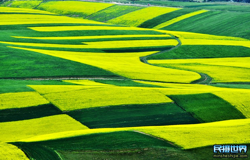 民摄世界 知晓夏季草原风光摄影技巧-勾画出一副美丽的画卷