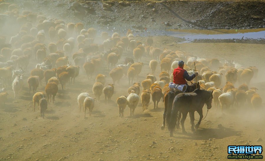 9月秋季新疆摄影团-一次金秋北疆大环线深度摄影团-一次看遍北疆秋色美景摄影团
