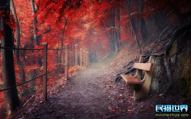 秋季画意摄影作品欣赏-太美了-如何拍摄秋季画意摄影的几个注意事项