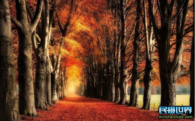 秋季画意摄影作品欣赏-太美了-如何拍摄秋季画意摄影的几个注意事项
