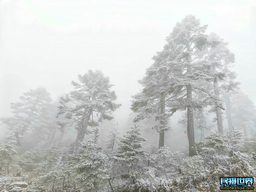 民摄世界网中缅边境摄影采风活动花絮-感受云南樱花梅里雪山怒江独龙江魅力