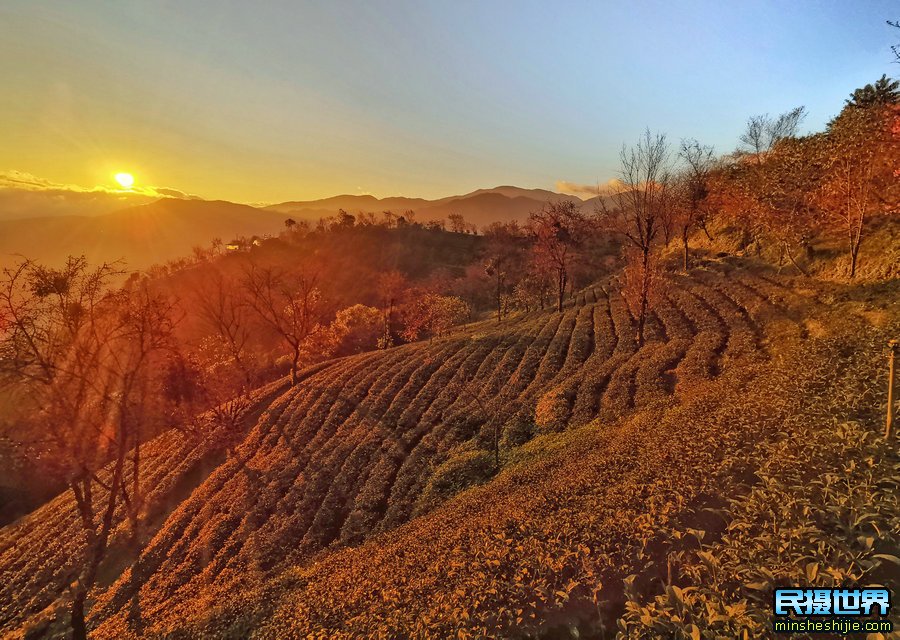 民摄世界网中缅边境摄影采风活动花絮-感受云南樱花梅里雪山怒江独龙江魅力