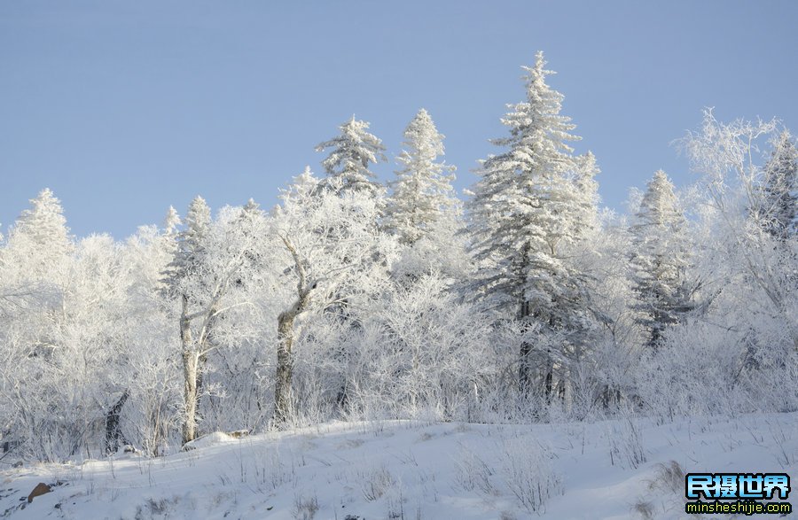 冬季长白山摄影-摄影人的疯狂之地