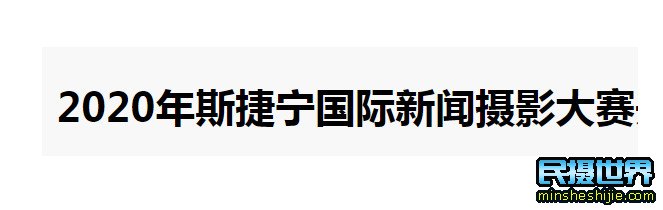 2020年斯捷宁国际新闻摄影大赛