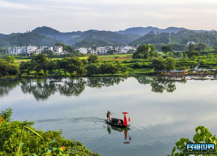 婺源向日葵花与三清山摄影团-感受山间雾漫向日葵摄影美景团