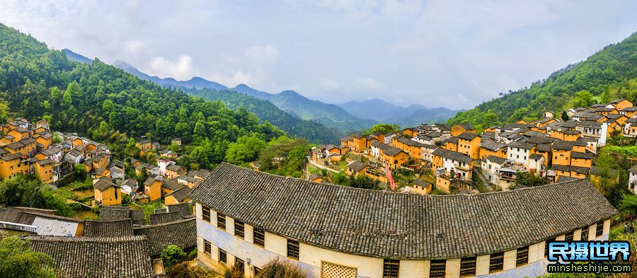 婺源向日葵花与三清山摄影团-感受山间雾漫向日葵摄影美景团