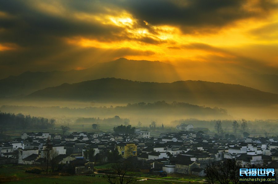 婺源向日葵花与三清山摄影团-感受山间雾漫向日葵摄影美景团