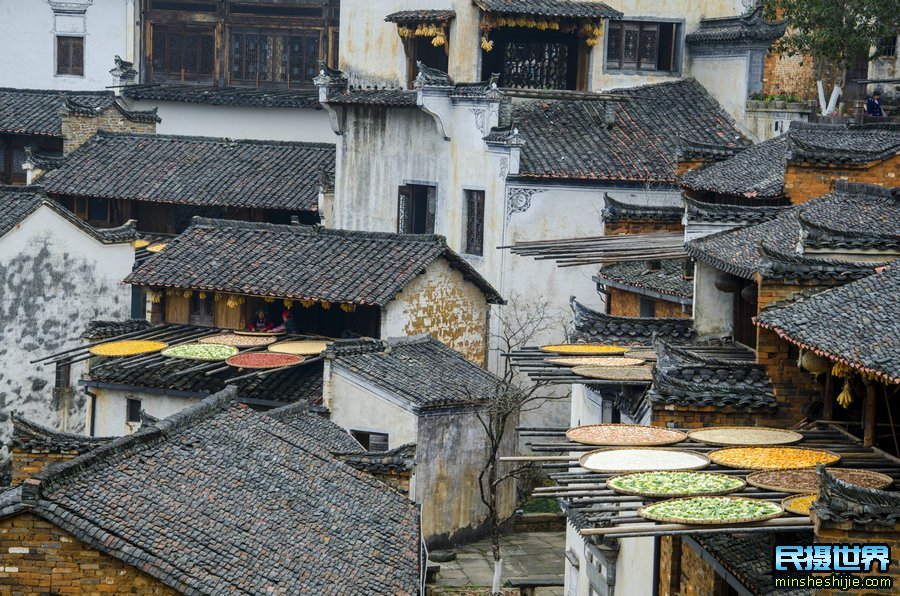 婺源向日葵花与三清山摄影团-感受山间雾漫向日葵摄影美景团