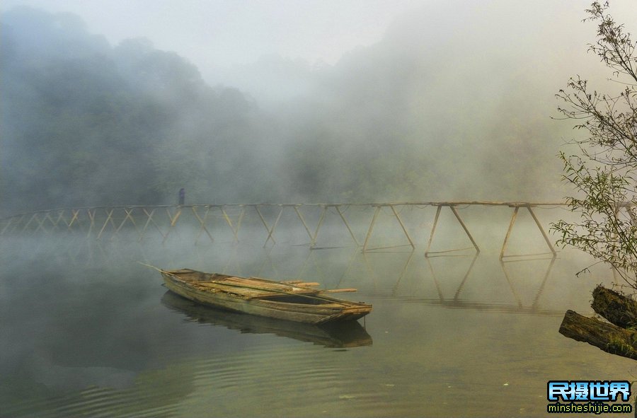 婺源向日葵花与三清山摄影团-感受山间雾漫向日葵摄影美景团